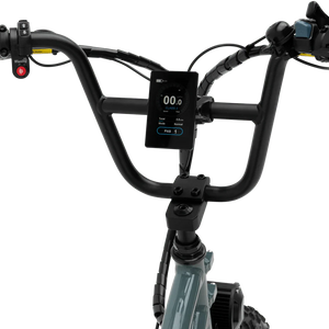 MURF Higgs Cargo Fat Tire Electric Cargo Beach Cruiser eBike - 52v 750 w Electric Cargo eBike - Cargo eBike - MURF|BLACK|2302 eBike Super Shop