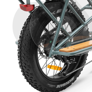 MURF Higgs Cargo Fat Tire Electric Cargo Beach Cruiser eBike - 52v 750 w Electric Cargo eBike - Cargo eBike - MURF|BLACK|2302 eBike Super Shop