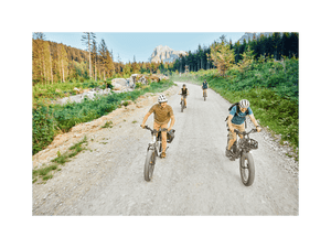 RadRover™ 6 Plus Electric Fat Tire Bike - Electric Bike - 101 - 00065 eBike Super Shop