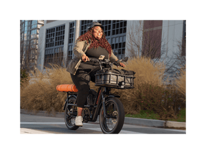 RadRunner™ Max Electric Cargo Utility Bike - Electric Bike - 106 - 00067 eBike Super Shop