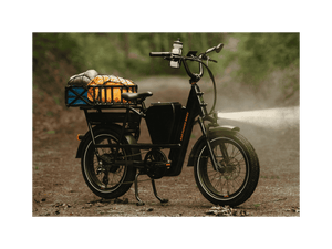 RadRunner™ Max Electric Cargo Utility Bike - Electric Bike - 106 - 00067 eBike Super Shop
