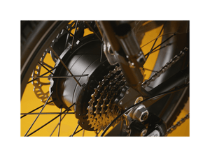 RadRunner™ Max Electric Cargo Utility Bike - Electric Bike - 106 - 00067 eBike Super Shop