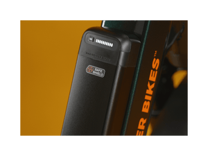 RadRunner™ Max Electric Cargo Utility Bike - Electric Bike - 106 - 00067 eBike Super Shop