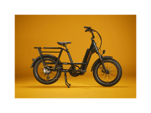 RadRunner™ Max Electric Cargo Utility Bike - Electric Bike - 106 - 00067 eBike Super Shop