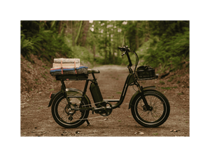 RadRunner™ Plus Electric Cargo Utility Bike - Electric Bike - 106 - 00065 eBike Super Shop