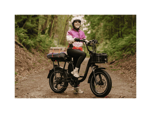 RadRunner™ Plus Electric Cargo Utility Bike - Electric Bike - 106 - 00065 eBike Super Shop