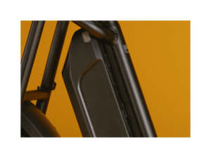 RadRunner™ Plus Electric Cargo Utility Bike - Electric Bike - 106 - 00065 eBike Super Shop