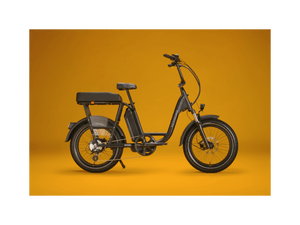 RadRunner™ Plus Electric Cargo Utility Bike - Electric Bike - 106 - 00065 eBike Super Shop