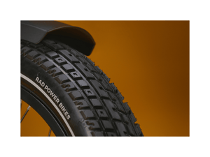 RadRunner™ Plus Electric Cargo Utility Bike - Electric Bike - 106 - 00065 eBike Super Shop