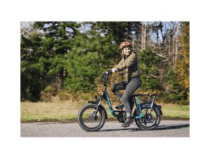 RadRunner™ Plus Electric Cargo Utility Bike - Electric Bike - 106-00065 eBike Super Shop