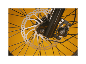 RadRunner™ Plus Electric Cargo Utility Bike - Electric Bike - 106 - 00065 eBike Super Shop