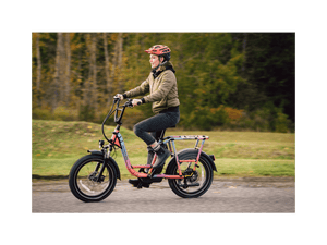 RadRunner™ Plus Electric Cargo Utility Bike - Electric Bike - 106-00065 eBike Super Shop