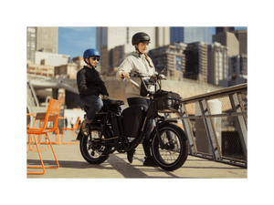 RadRunner™ Plus Electric Cargo Utility Bike - Electric Bike - 106 - 00065 eBike Super Shop