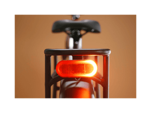 Radster™ Trail Electric Off - Road Bike - Electric Bike - 109 - 00003 eBike Super Shop