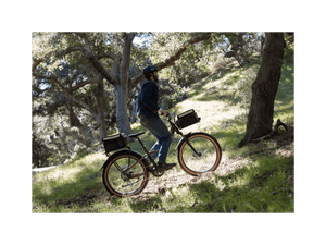 Radster™ Trail Electric Off - Road Bike - Electric Bike - 109 - 00003 eBike Super Shop