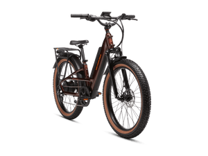 Radster™ Trail Electric Off - Road Bike - Electric Bike - 109 - 00005 eBike Super Shop