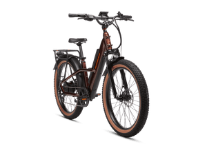 Radster™ Trail Electric Off - Road Bike - Electric Bike - 109 - 00007 eBike Super Shop