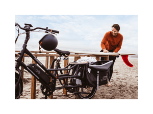 RadWagon™ 4 Electric Cargo Bike - Electric Bike - 102 - 00016 eBike Super Shop