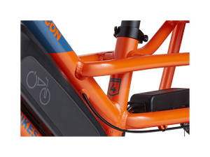 RadWagon™ 4 Electric Cargo Bike - Electric Bike - 102 - 00016 eBike Super Shop