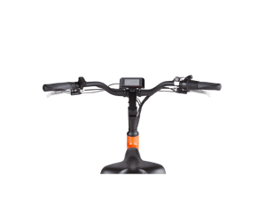 RadWagon™ 4 Electric Cargo Bike - Electric Bike - 102 - 00016 eBike Super Shop