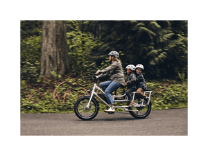 RadWagon™ 4 Electric Cargo Bike - Electric Bike - 102 - 00016 eBike Super Shop