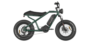 RAEV Bullet SE Electric e - Moto Style eBike - Moto 500 w Electric Pit Bike - Moto Style eBike - RAEV-BL-G-2 eBike Super Shop