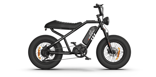 RAEV Bullet V2 Electric e-Moto Style eBike-Moto 500 w Electric Pit Bike