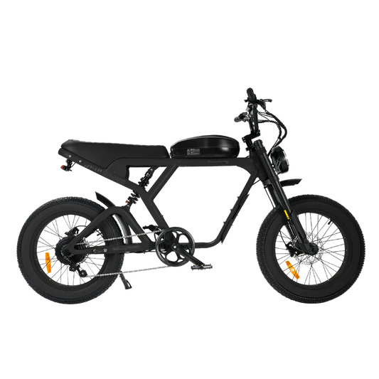 eBike Revi Cougar Pro