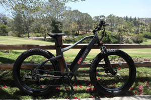 REVI Predator 750w Step Over Ebike 26x4 Fat Tire Electric Fat Tire Mountain eBike - Mountain eBike - REVI|MOUNT|GREY|0034 eBike Super Shop