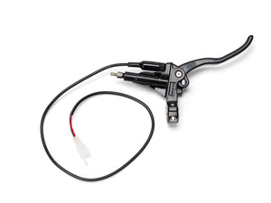 Stomp Ebox rear brake lever and master cylinder, side view showing metal lever attached to hydraulic master cylinder with mounting bracket and connecting rod.
