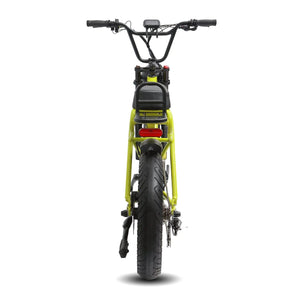 Kasen Kabbit Plus eBike in green, packaged inside a box