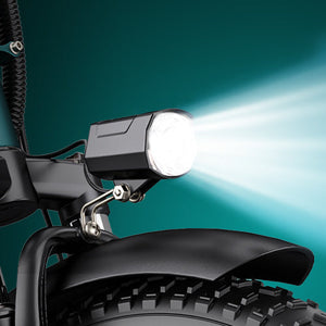 ENGWE L20 2.0 electric bike in black, shown from a side angle with fat tires, front basket, rear rack, and step-through frame.