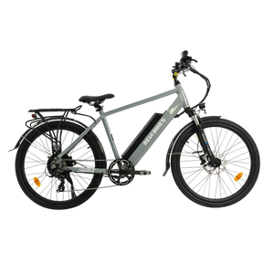 Gray eBike Revi Oasis.2 electric bicycle side view on white background