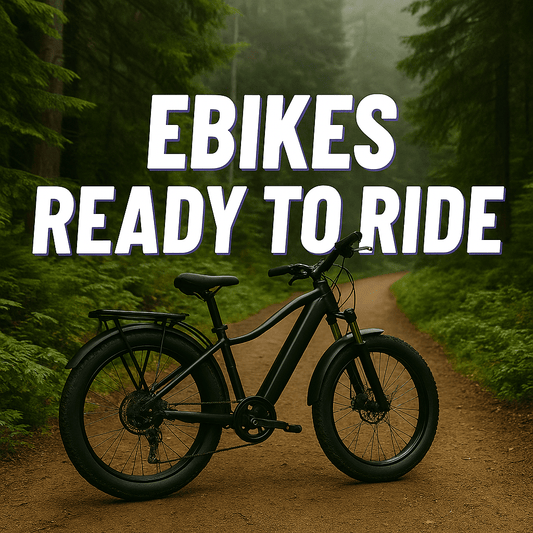 eMOTO In Store Escondido