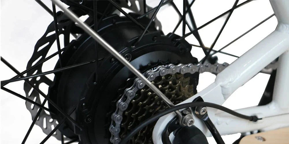 EUNORAU Max Cargo 750w Step Thru eBike, 24x2.4 road tires, electric cargo bike, product image