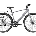 eBike Mokwheel Flint Pro - Grey