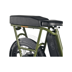 RadRunner Passenger Package - Escondido eBike Super Shop eBike Store in North County San Diego