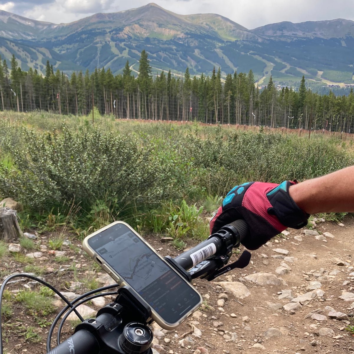 Handy Phone Clamp - Escondido eBike Super Shop