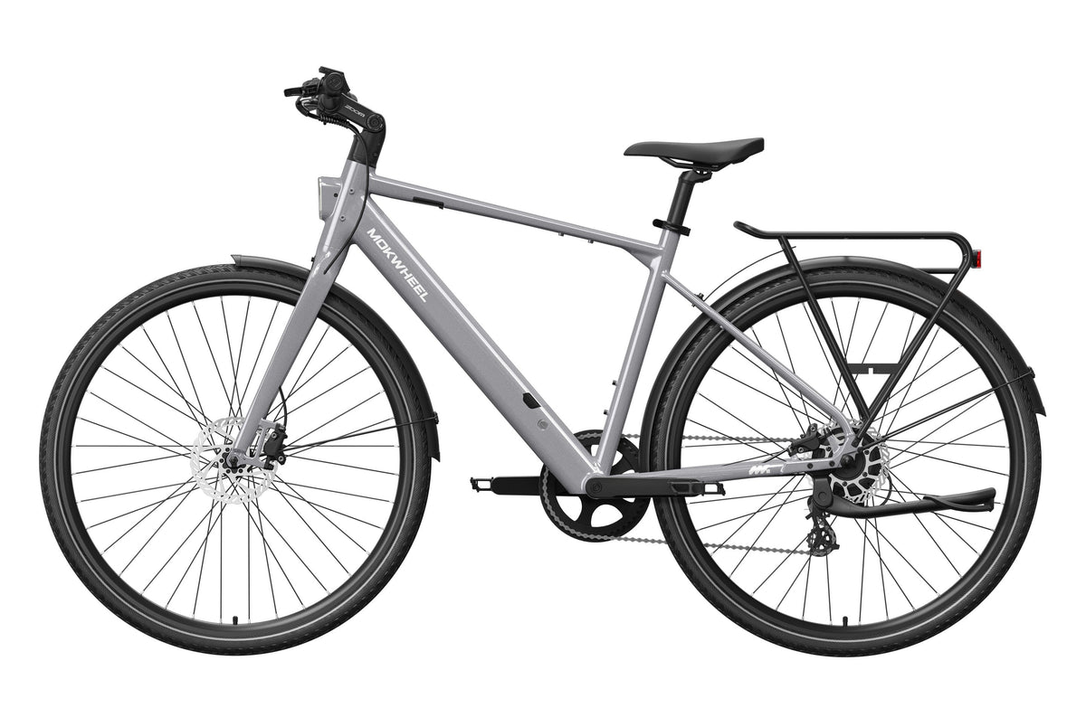 eBike Mokwheel Flint - Grey