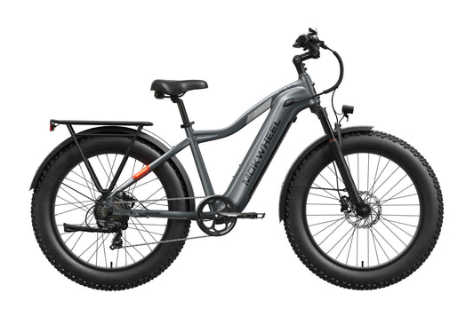 eBike Mokwheel Tor Plus Product Image Gray 1