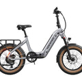 eBike Mokwheel Slate Product Image Platinum 1