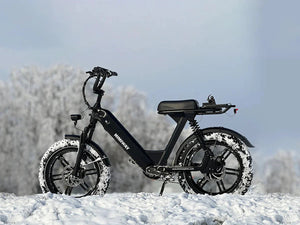 Himiway Escape Pro 750W step-thru e-moto style electric bike with 20x4 fat tires, shown in side profile