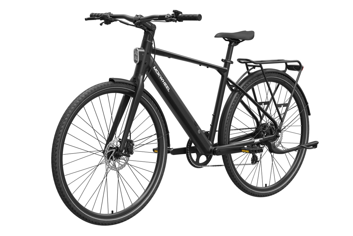eBike Mokwheel Flint - Phantom Black
