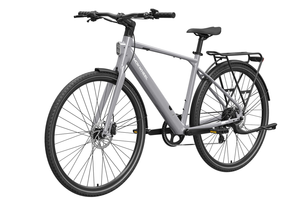 eBike Mokwheel Flint - Grey