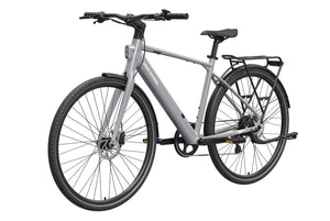 eBike Mokwheel Flint - Grey