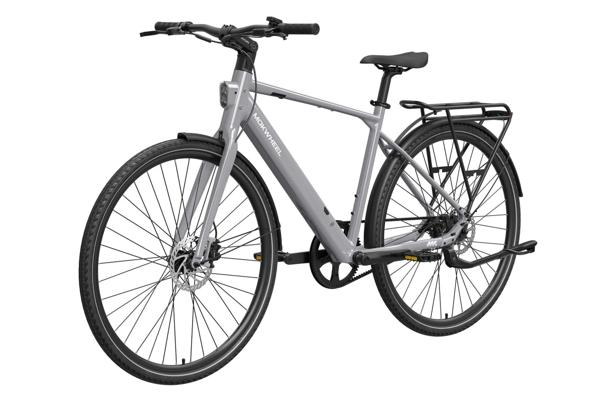 eBike Mokwheel Flint Pro - Grey