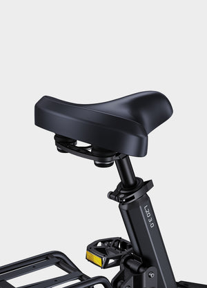 ENGWE L20 3.0 electric bike in black, shown from a side angle with fat tires, front basket, rear rack, and step-through frame, displayed on a white background.