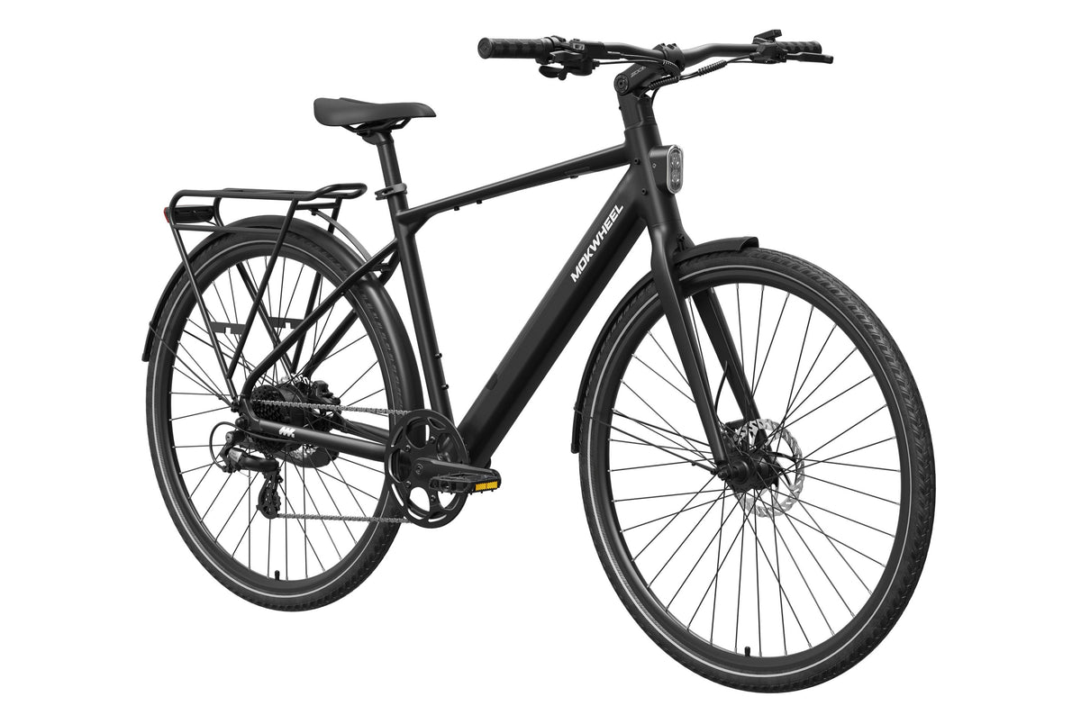 eBike Mokwheel Flint - Phantom Black