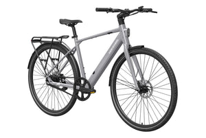 eBike Mokwheel Flint Pro - Grey