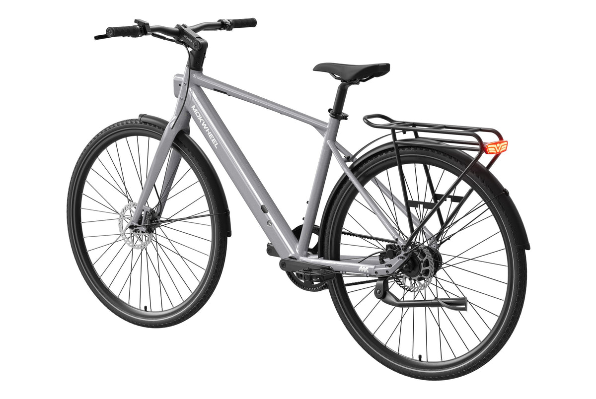 eBike Mokwheel Flint Pro - Grey